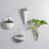 Plastic Wall Hanging Green Dill Hanging Flower Pot